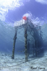 Just the jetty of "Buddy Dive Resort" (Bonaire) by Raoul Caprez 